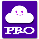 Pro