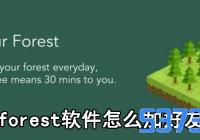 forestôӺ_forestӺ