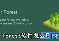 forestôõ_forestʹý̳