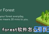 forestô½_forestרעɭֵ½