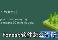 forestôע_forestרעɭע