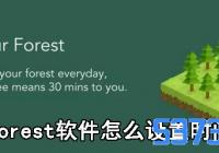 forestôʱ_ʱ䷽