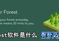 forestʲô_forestʲô