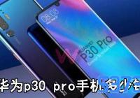 Ϊp30 proֻǮ_Ϊp30 pro۸