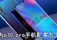 Ϊp30 proֻ_Ϊp30 proֵֻ